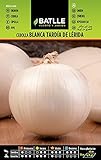 Cebolla Grande tardía de LERIDA Foto, mejor precio 1,60 € nuevo 2024