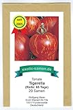 Tigerella - rot-gelb gestreifte Stab-Tomate - alte Sorte - 20 Samen Foto, bester Preis 1,95 € neu 2024
