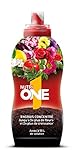 NUTRIONE ONELI500 Engrais Premium Liquide Universel 500 ML Luxuriantes | pour Toutes Plantes et Fleurs, Croissance Equilibrée, 500ml Photo, meilleur prix 14,81 € (29,62 € / l) nouveau 2024