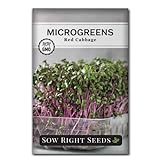 Sow Right Seeds - Red Cabbage Microgreen Seed for Growing - Instructions to Quickly Grow Your Own Delicious and Healthy Microgreens - Plant Indoors with no Special Equipment - Minimum 14g per Packet Photo, best price $4.99 new 2024