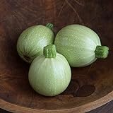 David's Garden Seeds Zucchini Round Cue Ball (Green) 25 Non-GMO, Hybrid Seeds Photo, best price $4.95 new 2024