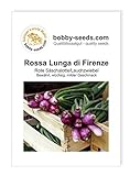 Zwiebelsamen Rossa Lunga di Firenze Lauchzwiebel Portion Foto, bester Preis 1,75 € neu 2024