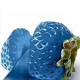 Samen für Gartenarbeit, 100 Stück Erdbeer-Samen, nahrhaft, köstlich, seltene Farben, Obst und Gemüse, Samen – Blau Foto, bester Preis 2,39 € neu 2024