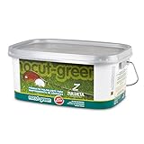 Zulueta Nocut Green Fertilizante Anti Musgo césped, Amarillo, 27.00x19.50x12.00 cm Foto, mejor precio 18,50 € nuevo 2024