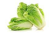 Peking Cabbage Seeds for Planting Chinees Beijing Napa Lettuce About 100 Seeds Photo, best price $6.99 new 2024