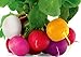 Photo Colorful Radish Seed Mix Easy to Grow Vegetable Garden Seeds for Planting About 50 Seeds