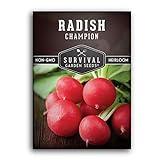 Survival Garden Seeds - Champion Radish Seed for Planting - Packet with Instructions to Plant and Grow Red Radishes in Your Home Vegetable Garden - Non-GMO Heirloom Variety Photo, best price $4.99 new 2024