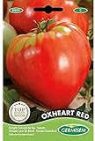 Germisem Oxheart Red Semillas de Tomate 2 g Foto, mejor precio 2,21 € nuevo 2024