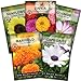 Photo Sow Right Seeds - Flower Seed Garden Collection for Planting - 5 Packets Includes Marigold, Zinnia, Sunflower, Cape Daisy, and Cosmos - Wonderful Gardening Gift