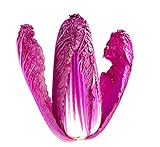 30 Red Chinese Cabbage Seeds - Edible Chinese Cabbage is a Superfood - Ships from Iowa, USA Photo, best price $8.98 ($0.30 / Count) new 2024