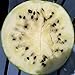 Photo Cream of Saskatchewan Heirloom Watermelon (Certified Organic Seeds) by Stonysoil Seed Company