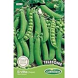 Germisem Telephone Semillas de Guisantes 100 g Foto, mejor precio 3,43 € nuevo 2024