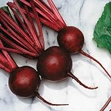 Beet Seeds - Kestrel Variety Seeds - Untreated - Variety Seeds - Non-GMO - 250 Seeds Photo, best price $4.99 ($0.02 / Count) new 2024