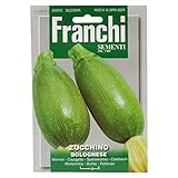 Franchi Samen Zucchini Bolognese Foto, bester Preis 3,00 € neu 2024