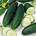 Photo Cucumber, Straight Eight Cucumber Seeds, Heirloom, 25 Seeds, Great for Salads/Snack