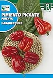 Semilla Pimiento Picante Habanero Red - Rocalba Foto, mejor precio 2,00 € nuevo 2024