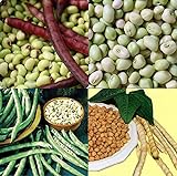 David's Garden Seeds Collection Set Southern Pea (Cowpea) 3333 (Multi) 4 Varieties 400 Non-GMO, Open Pollinated Seeds Photo, best price $16.95 ($4.24 / Count) new 2024