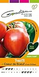 Gondian 154250 Semences-Tomate Coeur de Boeuf (Cuor Di Bue) -CP 2, Rouge, 1x8.1x16 cm Photo, meilleur prix 3,78 € nouveau 2024
