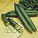 Photo Cucumber, Long Green Improved Seeds, Non-GMO, 25 Seeds per Package,Long Green Improved Cucumber is a Strong, Vigorous Producer . Jacobs Ladder Ent.
