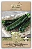 Gaea's Blessing Seeds - Zucchini Seeds - Non-GMO - with Easy to Follow Planting Instructions - Heirloom Black Beauty Summer Squash 97% Germination Rate Photo, best price $5.99 new 2024
