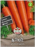 Sperli Premium Möhren Samen Rote Riesen 2 ; Große kegelförmige Rüben ; Karotten Samen für ca. 1000 Karotten Foto, bester Preis 2,17 € neu 2024