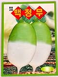 Radish Seeds Korean.2 Pack(4grams-Each) Photo, best price $5.95 new 2024