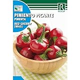 Semillas de Pimiento picante red cherry small Foto, mejor precio 1,62 € nuevo 2024