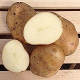 Kennebec Seed Potatoes, 5 lbs. (Certified) Photo, best price $12.99 ($0.16 / Ounce) new 2024