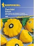 Kiepenkerl Zucchini Sunburst Foto, bester Preis 3,88 € neu 2024