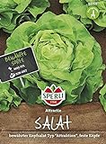 82759 Sperli Premium Kopfsalat Samen Attraktion | Zart | Große Köpfe | Kopfsalat Saatgut | Salat Saatgut | Schossfest Foto, bester Preis 3,87 € neu 2024
