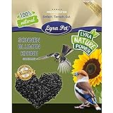 Lyra Pet® 25 kg Sonnenblumenkerne schwarz HK Österreich Vogelfutter Vögel Wildvögel Wildvogelfutter Winterfutter Körner Foto, bester Preis 35,99 € (1,44 € / kg) neu 2024