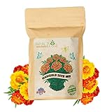 NatureZ Edge Marigold Seeds Mix, Over 5600 Seeds, Marigold Seeds for Planting Outdoors, Dainty Marietta, Petite French, Sparky French, and More Photo, best price $10.97 ($0.00 / Count) new 2024