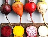Rainbow Mix Heirloom Beet Seeds Gold, White, Red and Chioggia! bin316 (180+ Seeds, or 1/8 oz) Photo, best price $4.39 new 2024