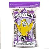 Nature's Nuts Premium Black Striped Sunflower Seed - 16 lb. Photo, best price $42.56 new 2024