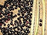 Black Crowder Pea Seeds - Heavy yields of Dark Purple cowpeas!! (200 - Seeds) Photo, best price $14.99 new 2024