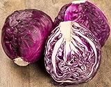 NIKA SEEDS - Vegetable Cabbage Purple - 150 Seeds Photo, best price $6.95 ($0.05 / Count) new 2024