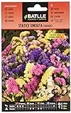 Semillas de Flores - Statice Sinuata variado - Batlle Foto, mejor precio 1,88 € nuevo 2024