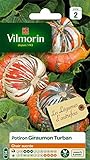 VILMORIN Potiron Giraumon Turban Foto, mejor precio 9,75 € nuevo 2024