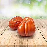 Tomato ''Bullenherz'' 25 x Samen aus Portugal 100% Natursamen ohne chemische Anzuchthilfen oder Gentechnik Foto, bester Preis 2,99 € neu 2024