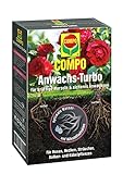 COMPO Anwachs-Turbo, Hochwirksames Bewurzelungshilfsmittel, 0,7 kg Foto, bester Preis 10,05 € (14,36 € / kg) neu 2024