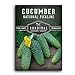 Photo Survival Garden Seeds - National Pickling Cucumber Seed for Planting - Packet with Instructions to Plant and Grow Cucumis Sativus in Your Home Vegetable Garden - Non-GMO Heirloom Variety