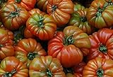 Portal Cool 100 Semillas: Las semillas de tomate Raf, Variedad Tamano Grande, Viejo tomate de la herencia española, Andalucía Foto, mejor precio 4,99 € nuevo 2024