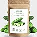 Photo SEEDRA 120+ Cucumber Seeds for Indoor, Outdoor and Hydroponic Planting, Non GMO Heirloom Seeds for Home Garden - 1 Pack