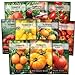 Photo Sow Right Seeds - Tomato Seed Collection for Planting - 10 Varieties with Many Sizes, Shapes, and Colors - Non-GMO Heirloom Packets with Instructions for Growing a Home Vegetable Garden - Great Gift
