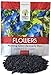 Photo Morning Glory Seeds Heavenly Blue - Large 1 Ounce Packet - Over 1,000 Flower Seeds