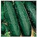 Photo 50 Marketmore 76 Cucumber Seeds | Non-GMO | Heirloom | Instant Latch Garden Seeds