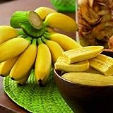 Benoon Bananensamen, 1 Beutel Bananensamen Süße Samen Mit Hoher Keimrate Frische Pflanzensamen Für Den Balkon Bananen Foto, bester Preis 3,93 € (0,13 € / stück) neu 2024