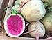 Foto 100 Samen Wassermelonen Rettich Mantanghong