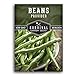 Photo Survival Garden Seeds - Provider Bush Bean Seed for Planting - Packet with Instructions to Plant and Grow Stringless Green Beans in Your Home Vegetable Garden - Non-GMO Heirloom Variety