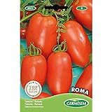Germisem Roma Semillas de Tomate 1 g, EC8011 Foto, mejor precio 2,21 € nuevo 2024